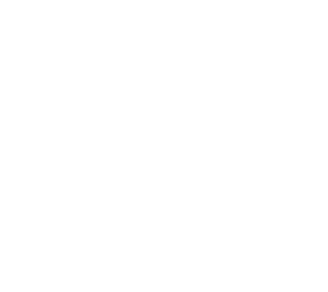 nd logo white